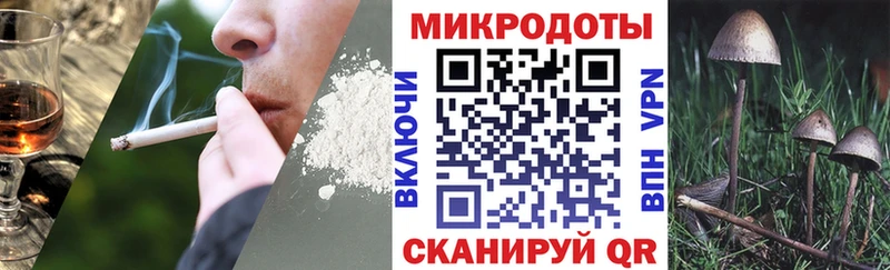 Галлюциногенные грибы Psilocybine cubensis  ОМГ ОМГ ссылки  Борзя 